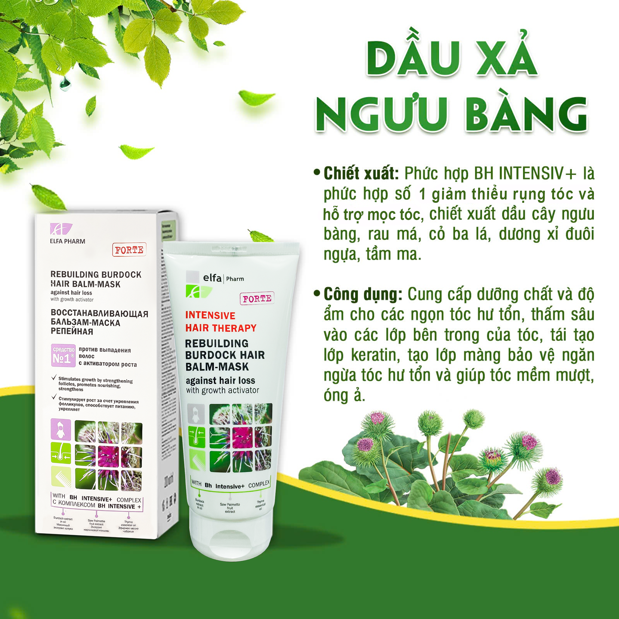 Dầu xả ngăn ngừa rụng tóc và hỗ trợ mọc tóc – Elfa Pharm (Chai 200ml) - 3