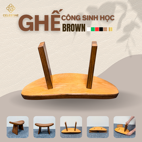 Ghế Công Sinh Học BROWN