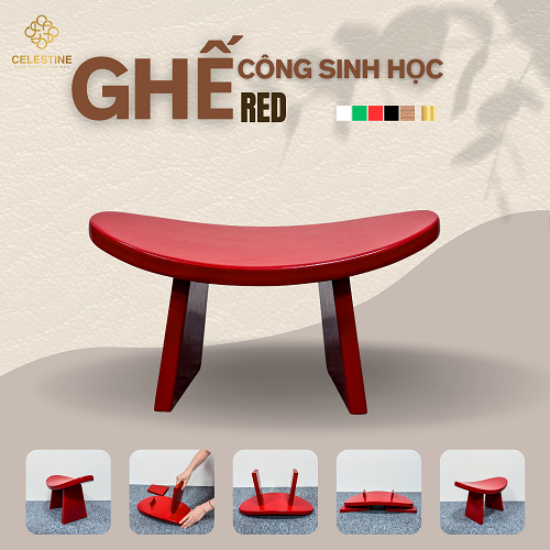 Ghế Công Sinh Học RED - Phân phối chính hãng