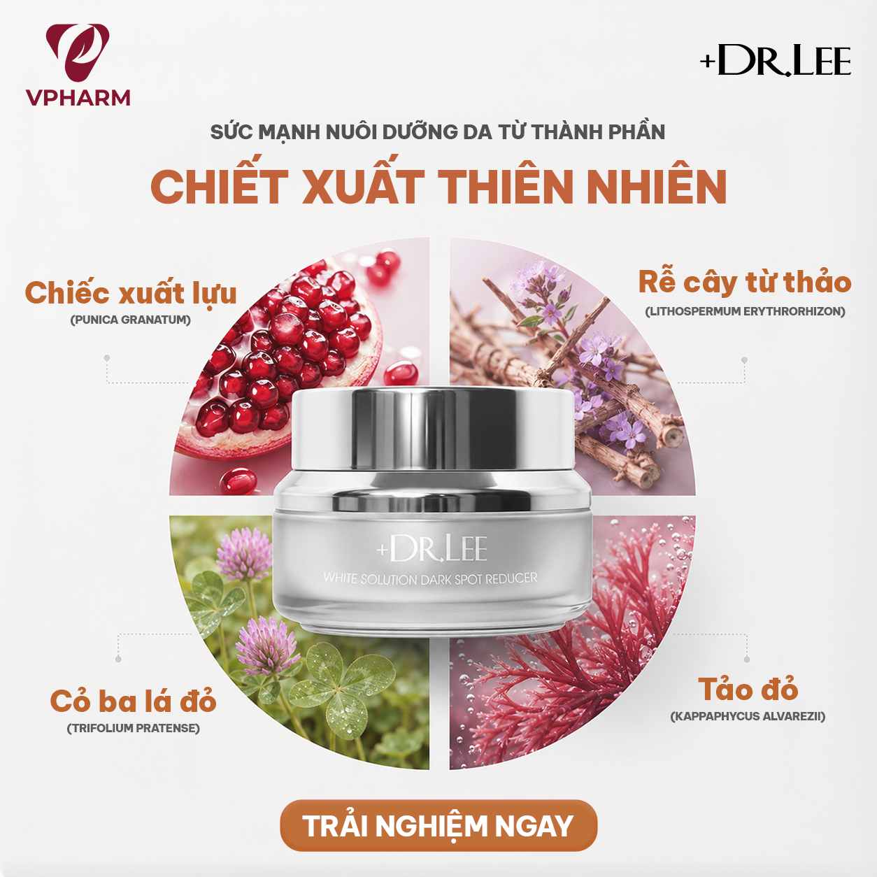 Kem Dưỡng Trắng, Mờ Thâm Nám & Ngừa Lão Hóa +Dr.Lee White Solution Dark Spot Reducer (30g)