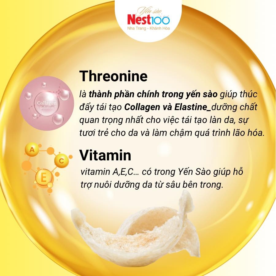 Yến tổ Nest100 – Tinh chế loại 1 (Hộp 50g + túi)