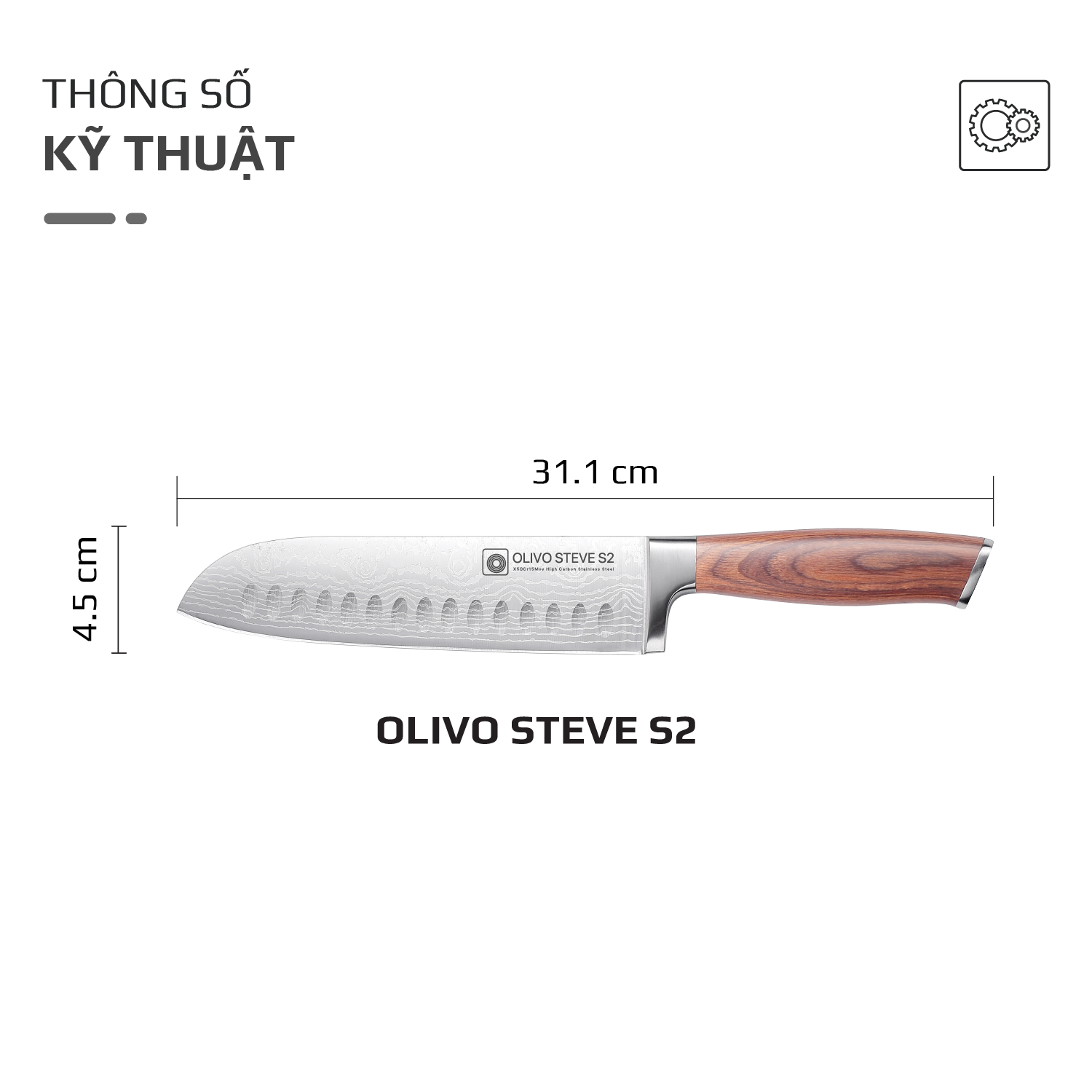 Dao thép carbon OLIVO Steve S2
