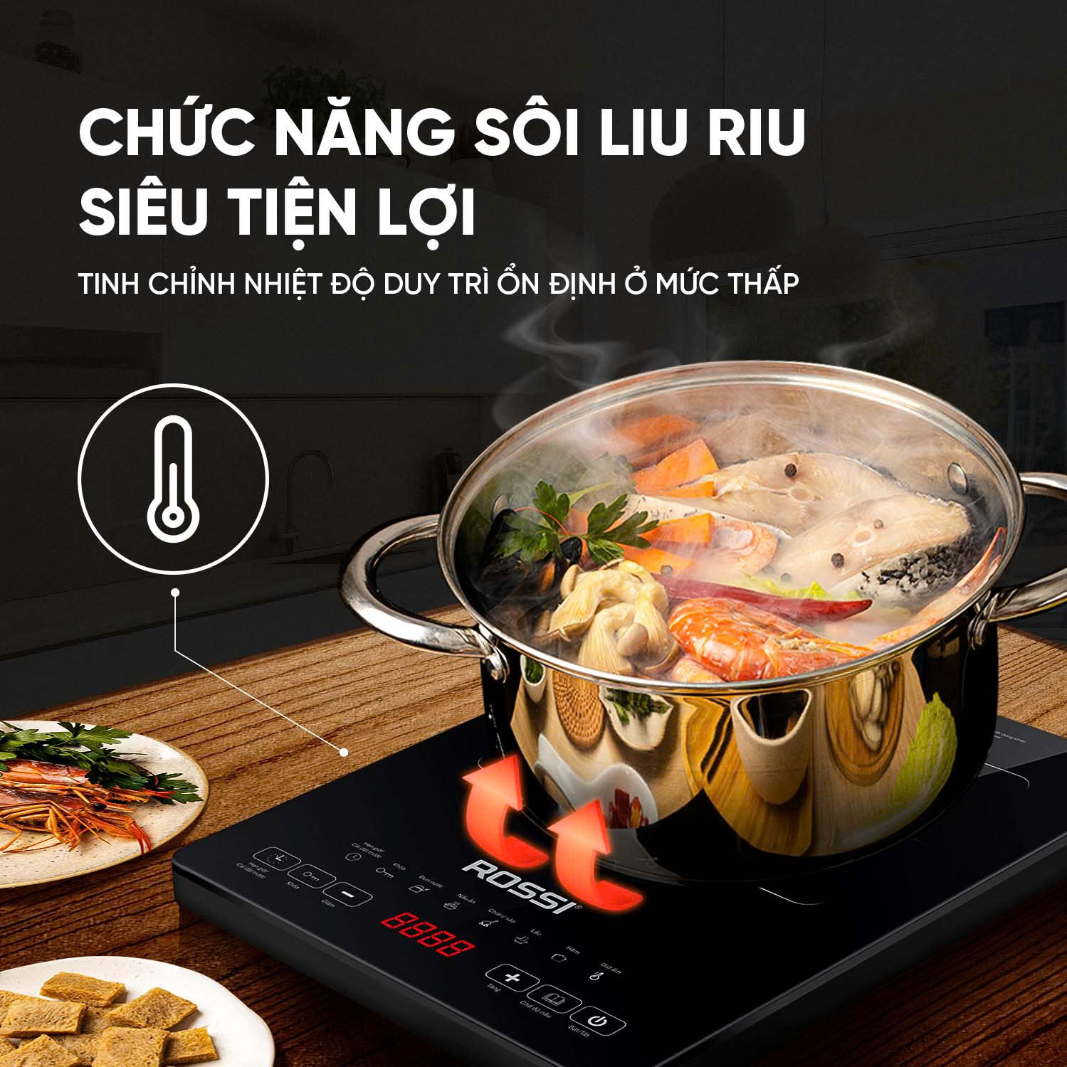 Bếp từ đơn Rossi RS-1020CE01 - 6