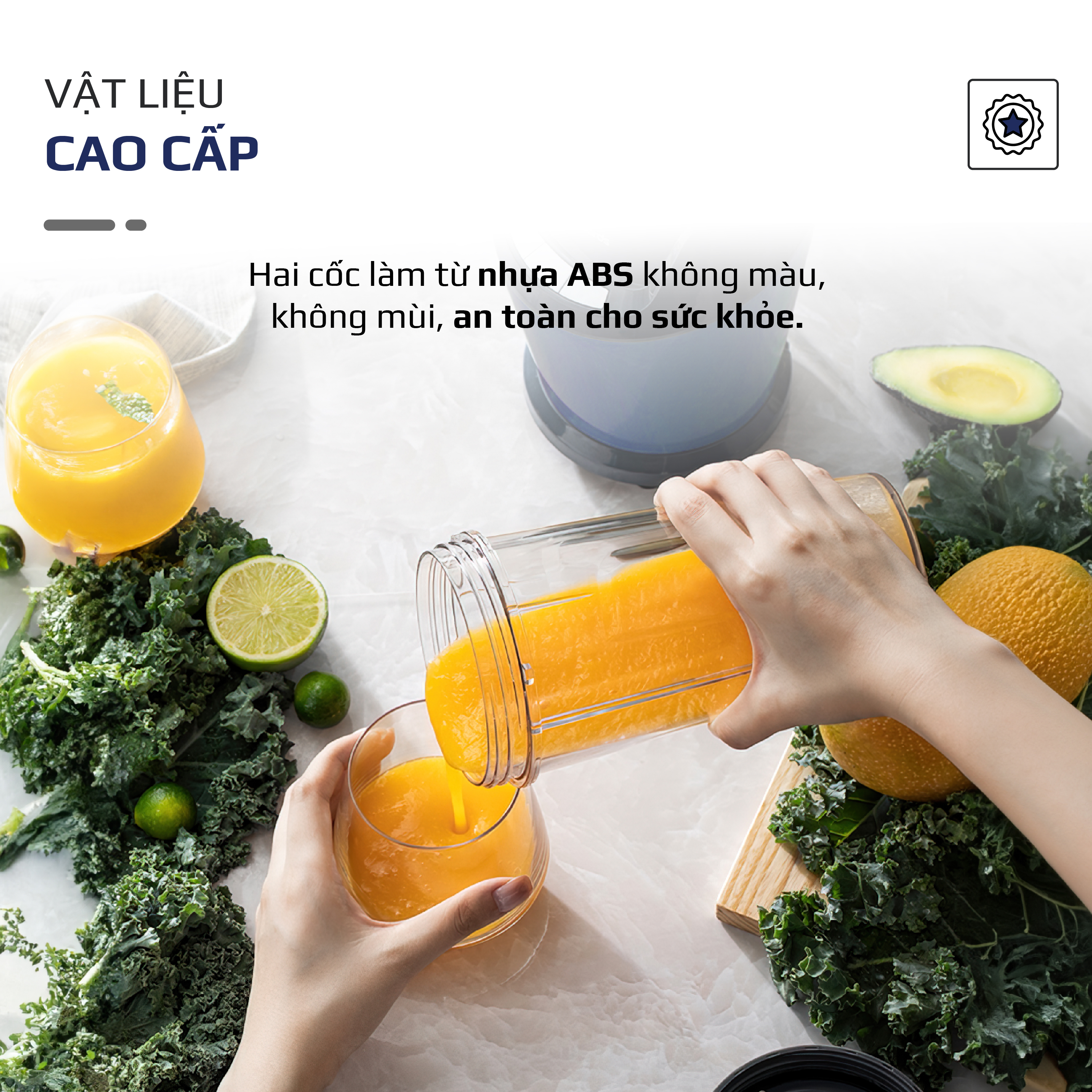 Máy xay sinh tố Olivo MB1000