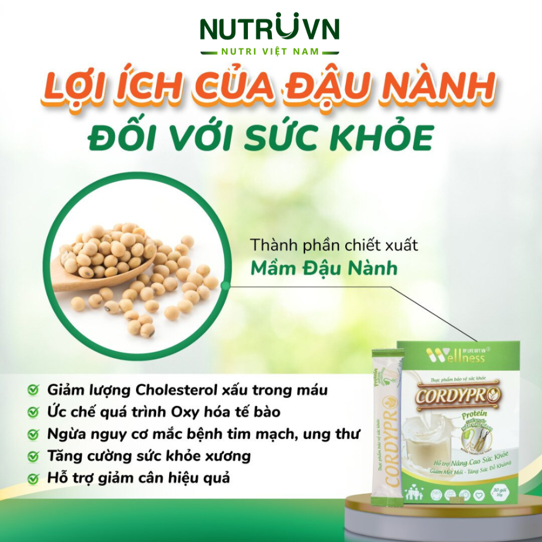 Bột Protein thực vật Cordypro – Hỗ trợ cơ bắp, sức bền, tim mạch, tăng cường miễn dịch (30 gói)