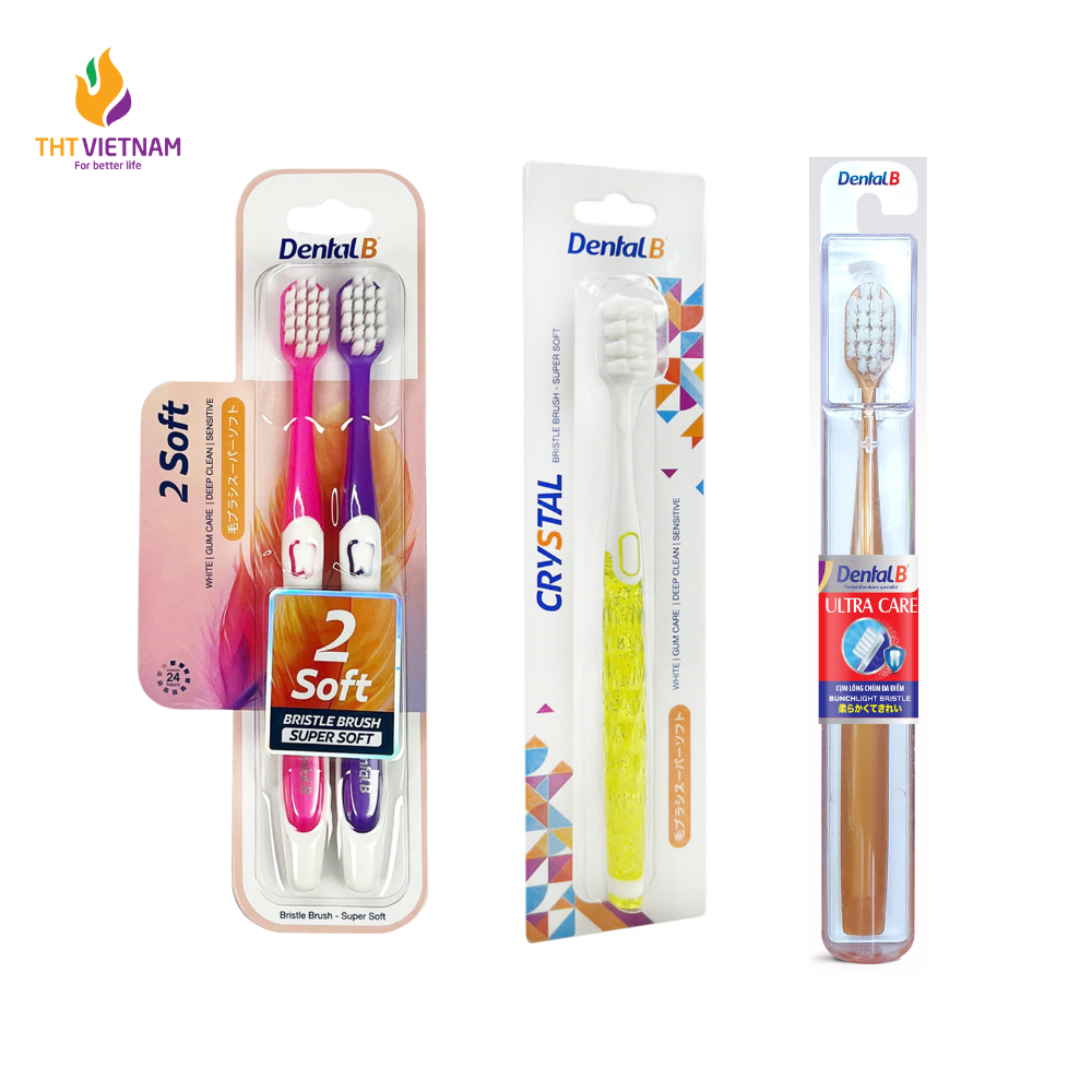 Bàn chải đánh răng người lớn Dental B