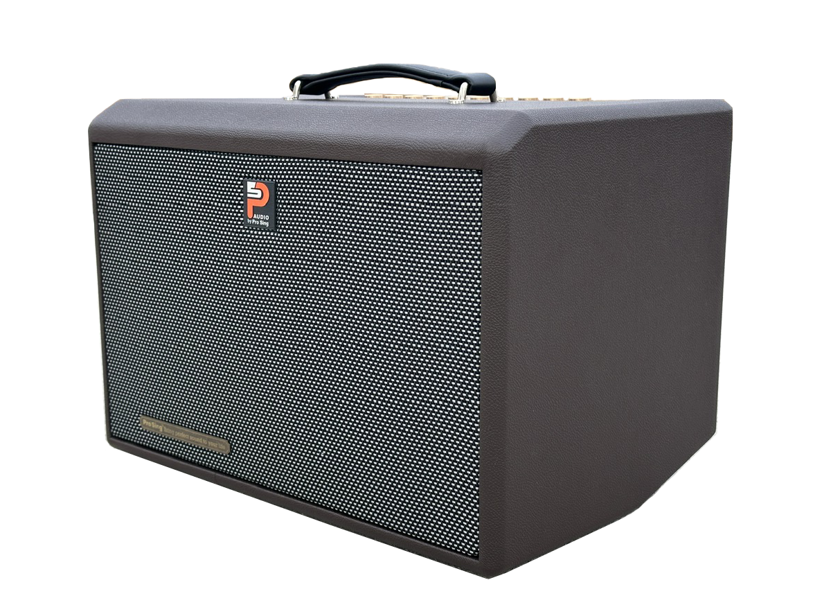 Loa Xách Tay Công Suất Lớn DSP-236Xi