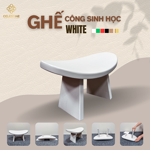 Ghế Công Sinh Học WHITE