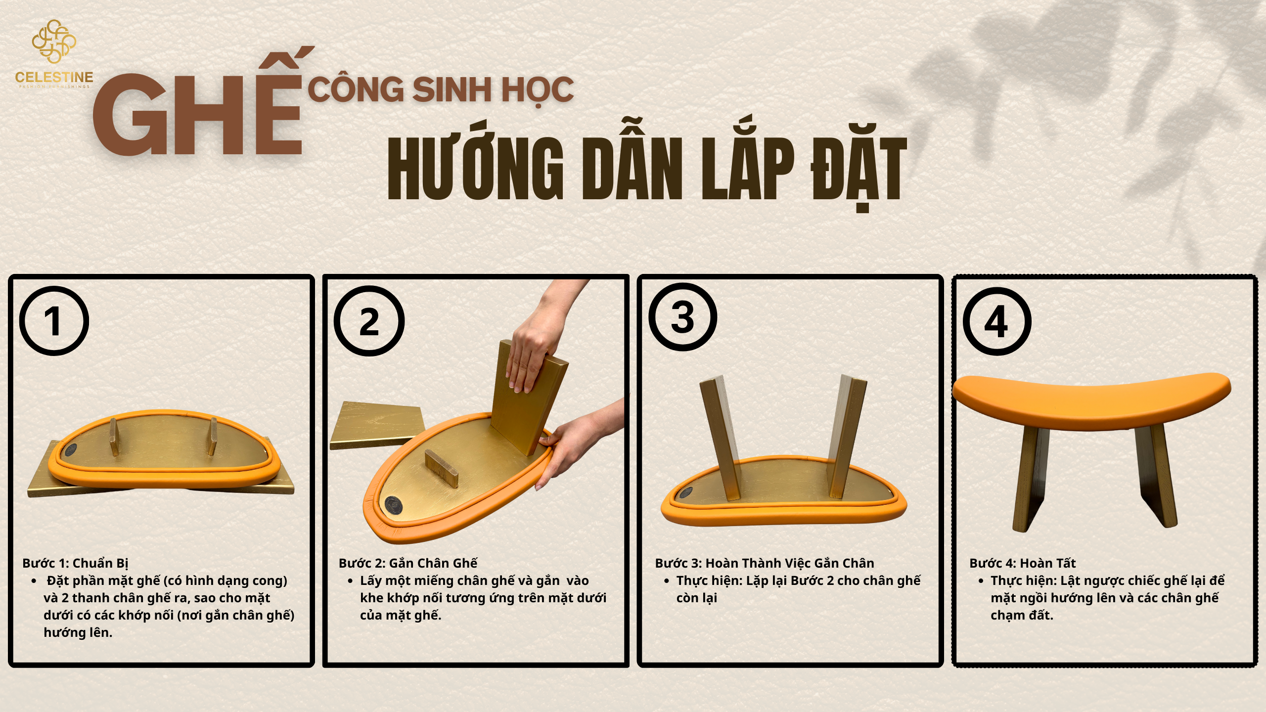 Ghế Công Sinh Học BROWN
