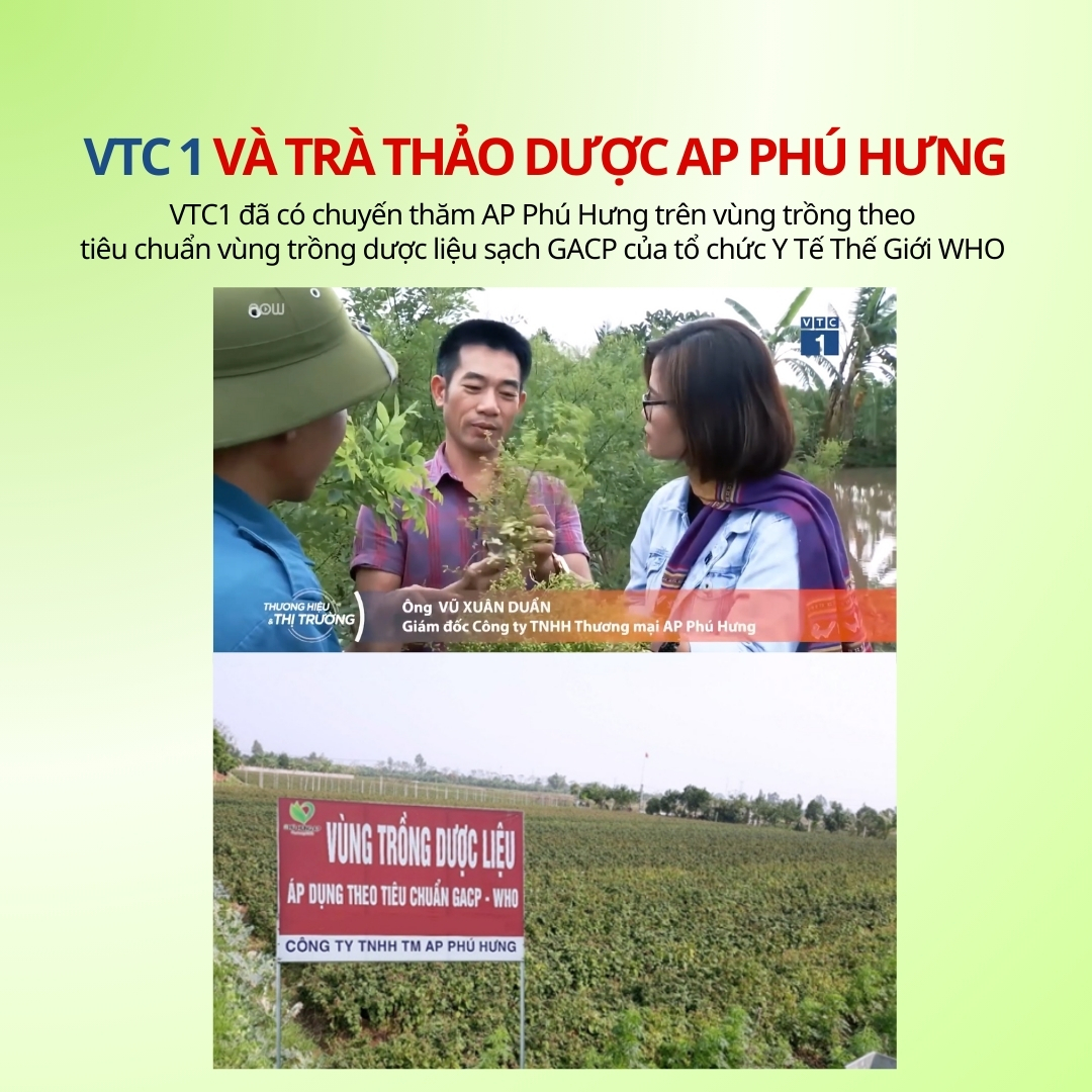 Trà Dưỡng Nhan Tây Thi AP Phú Hưng giúp sáng da mờ thâm cải thiện nếp nhăn