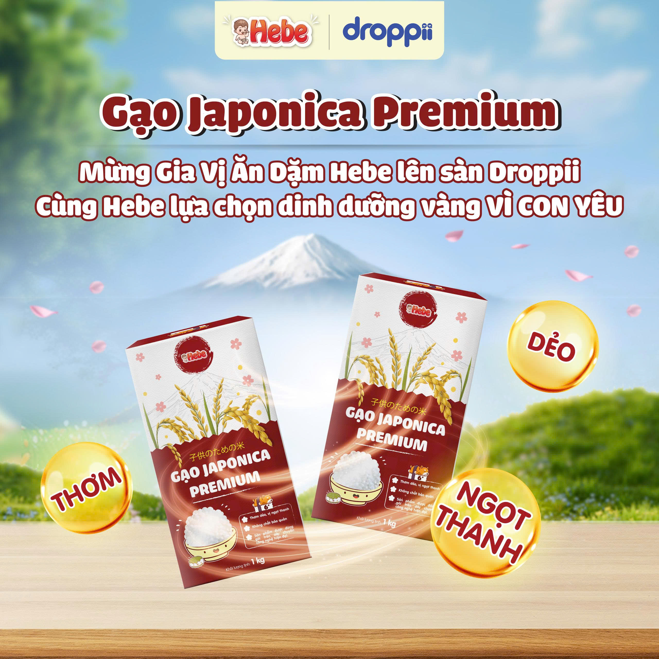 Gạo Japonica Premium HEBE giúp bé ăn ngon miệng hơn (hộp 1kg) - Phân phối chính hãng