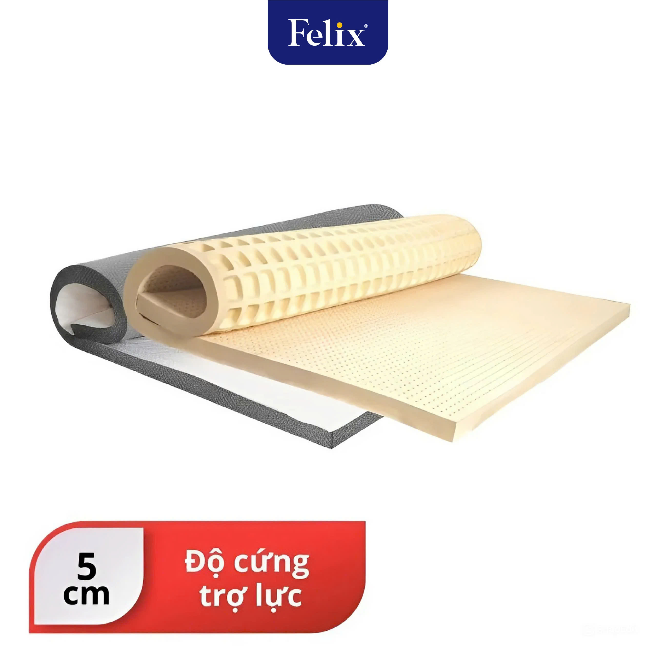 Nệm cao su FELIX Support - Độ cứng trợ lực (Cấp độ 2) - Độ dày nệm 5cm
