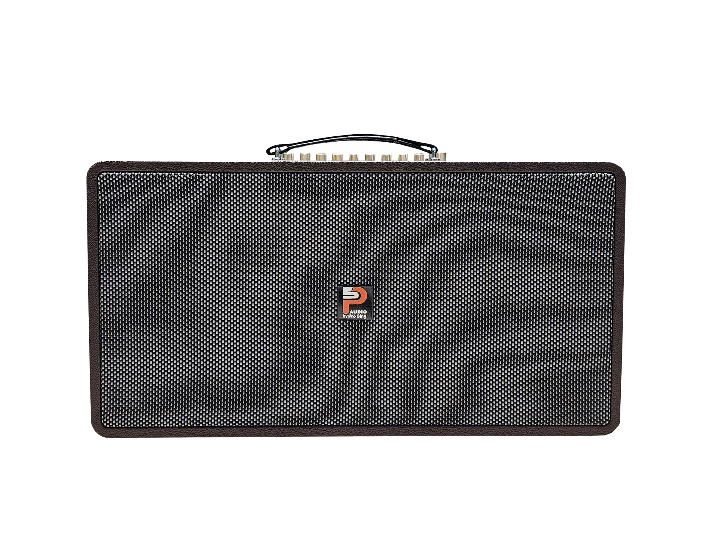 Loa Xách Tay Công Suất Lớn PS-28i