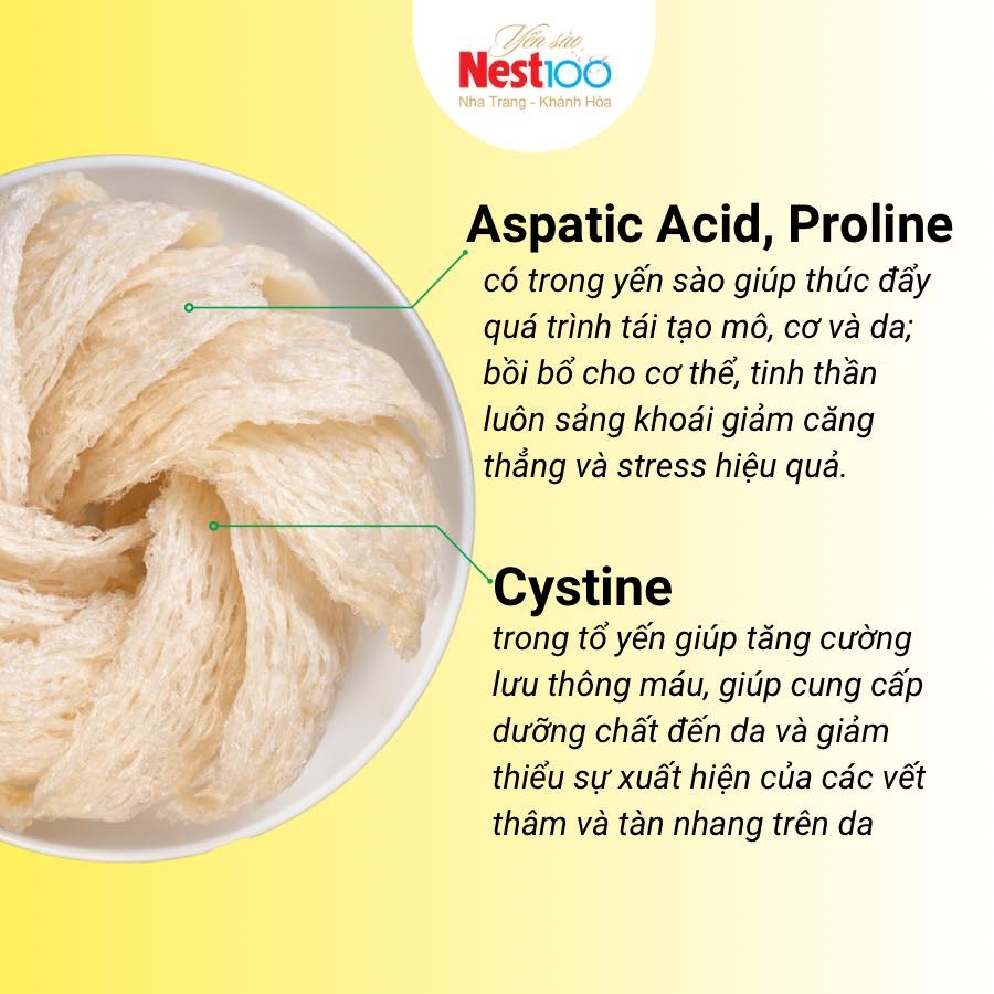 Yến tổ Nest100 – Tinh chế loại 1 (Hộp 50g + túi)