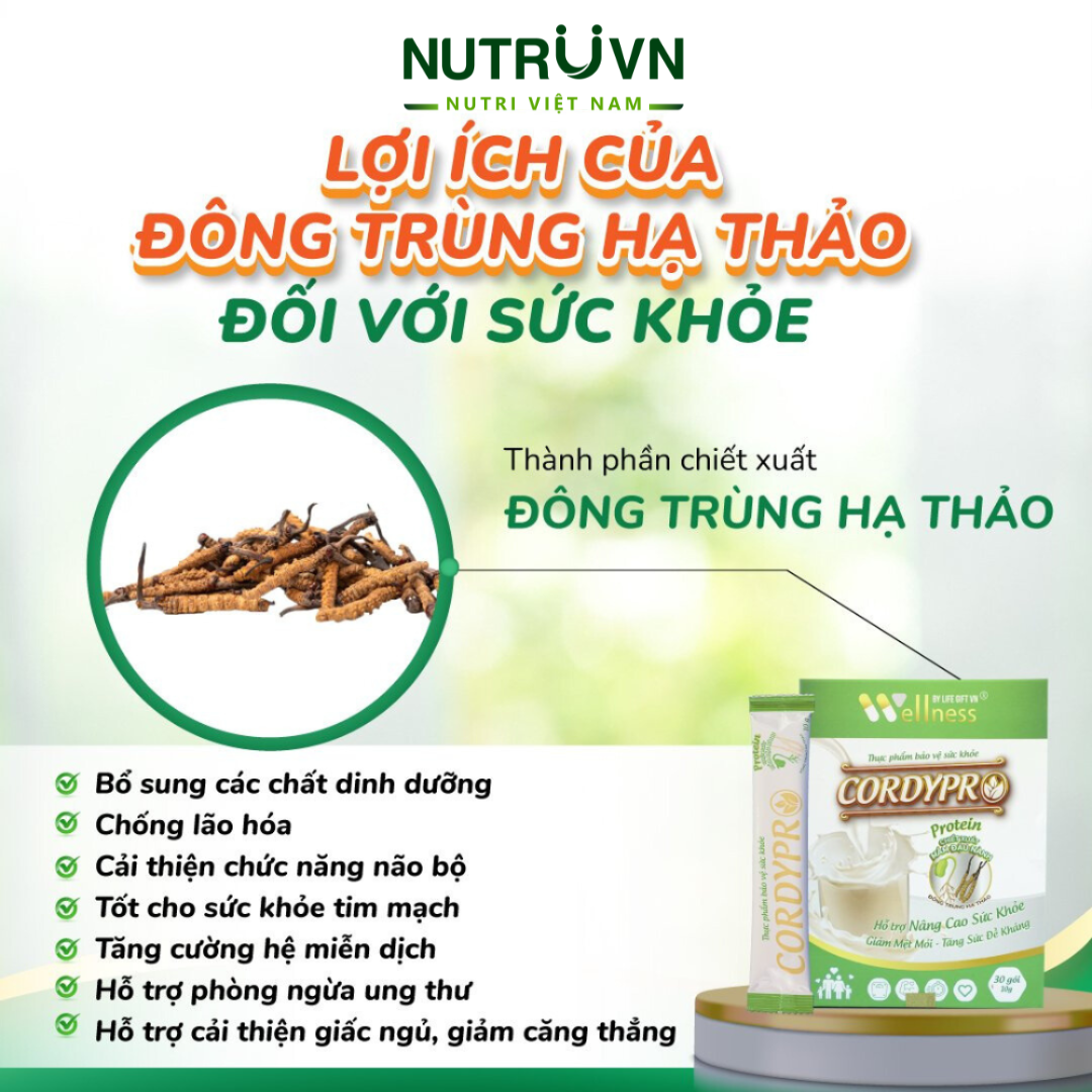 Bột Protein thực vật Cordypro – Hỗ trợ cơ bắp, sức bền, tim mạch, tăng cường miễn dịch (30 gói)