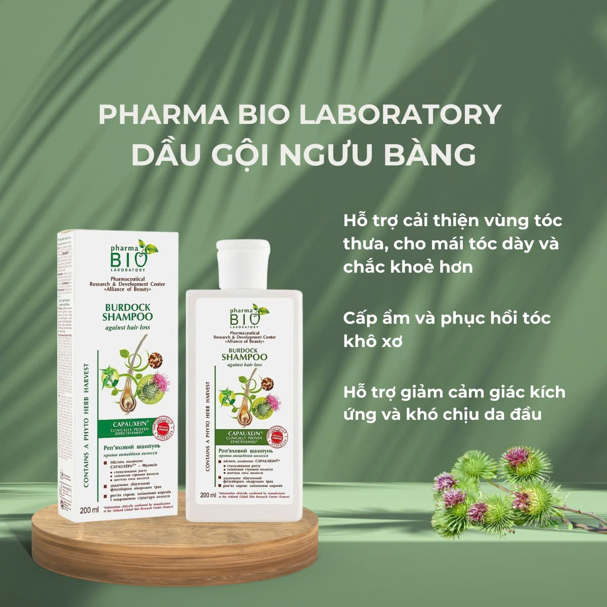 Pharma Bio laboratory Dầu gội ngưu bàng 200ml