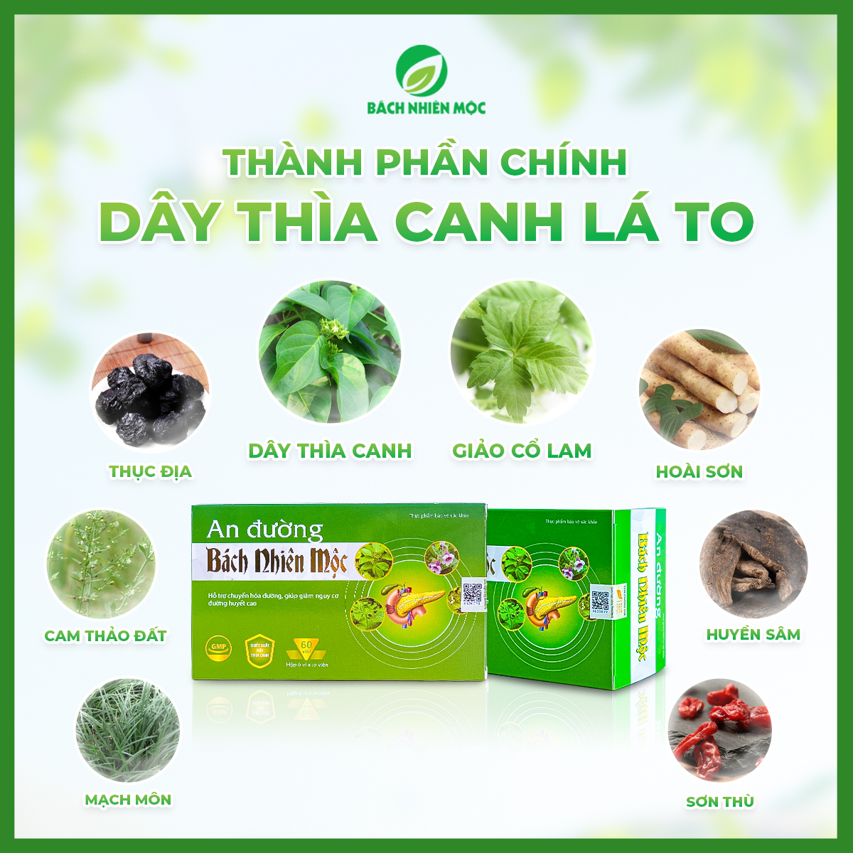 TPBVSK An Đường Bách Nhiên Mộc hỗ trợ chuyển hóa đường, giảm nguy cơ đường huyết cao (Hộp 60 viên)