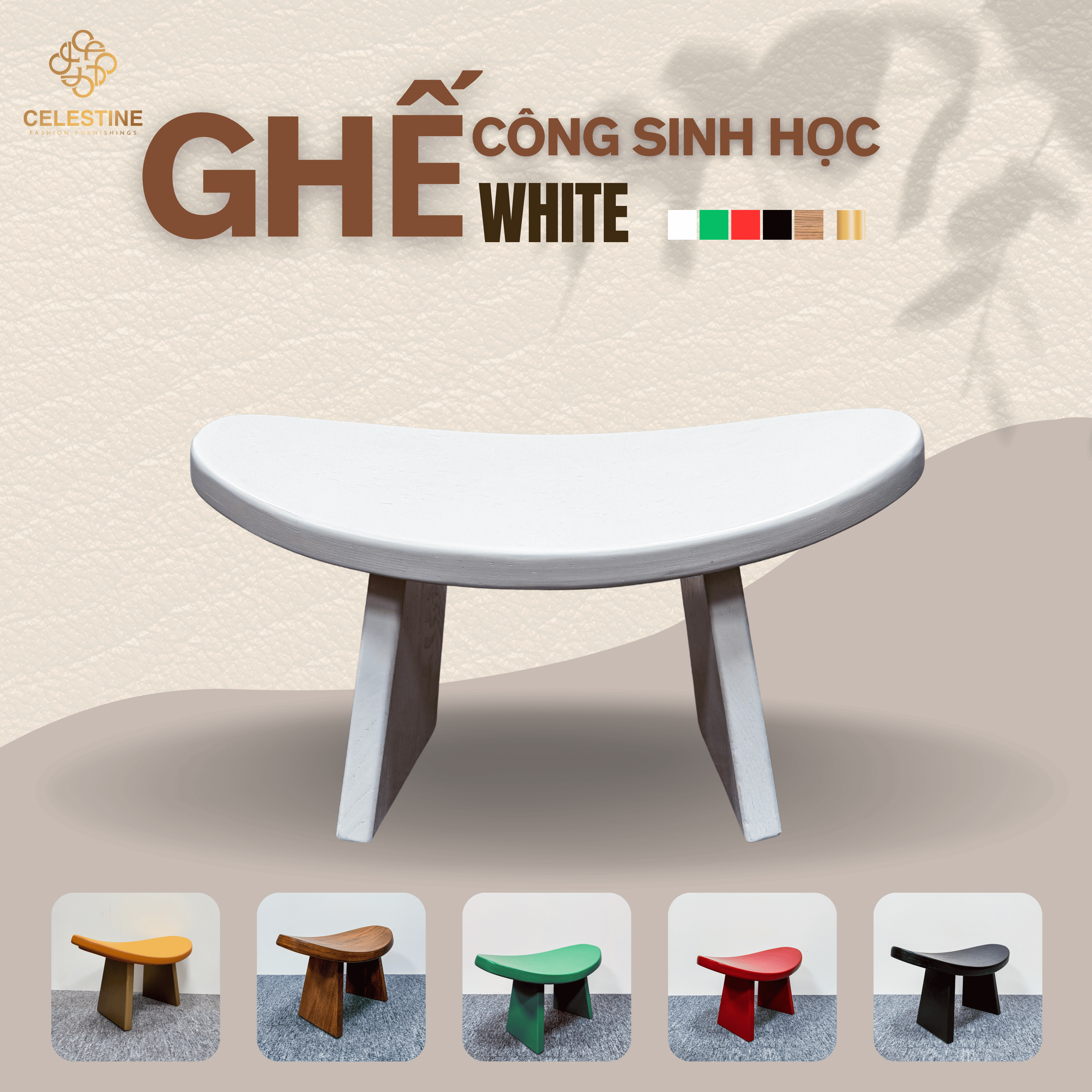 Ghế Công Sinh Học WHITE