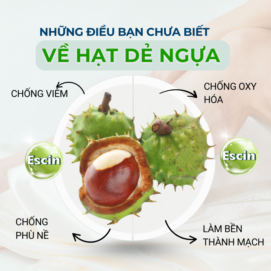 Viên uống Venaxin FORTE – Hỗ trợ giảm Suy giãn tĩnh mạch