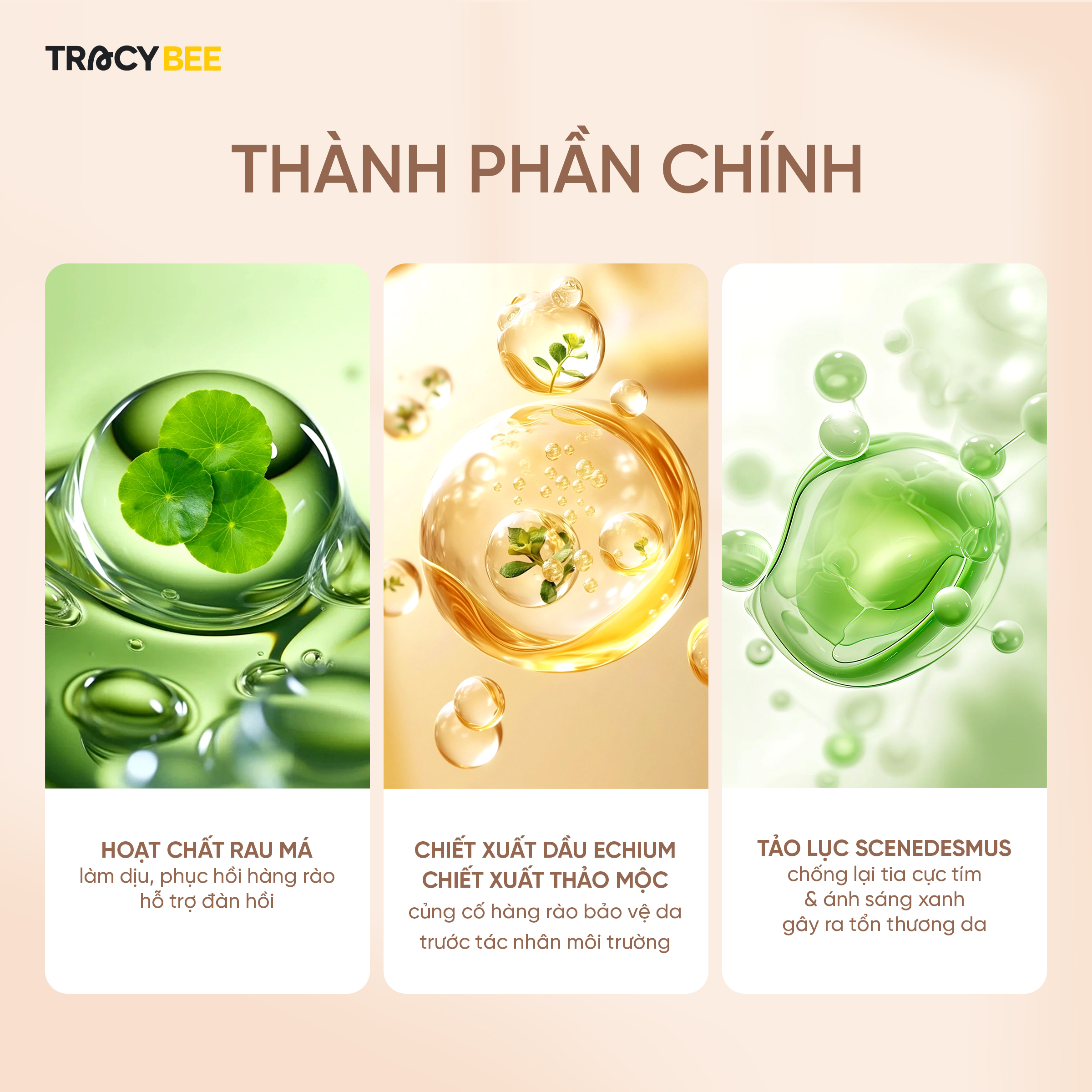 Kem chống nắng vật lý Tracybee Royal Mineral Sun Gel nâng tone cho da nhạy cảm và mẹ bé SPF50+ PA++++(50ml)