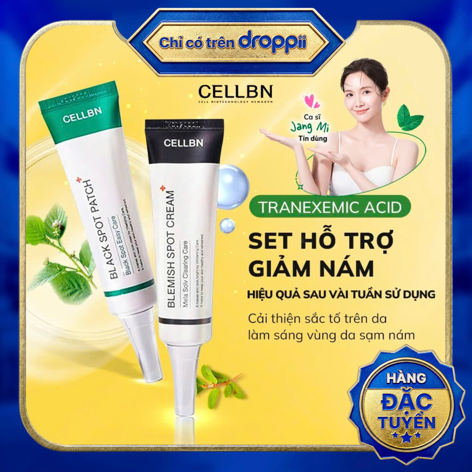 Set Hỗ Trợ Giảm Sắc Tố - Giảm Sạm Nám An Toàn - Kem Blemish Spot Cream & Gel Black Spot Patch - Phân phối chính hãng