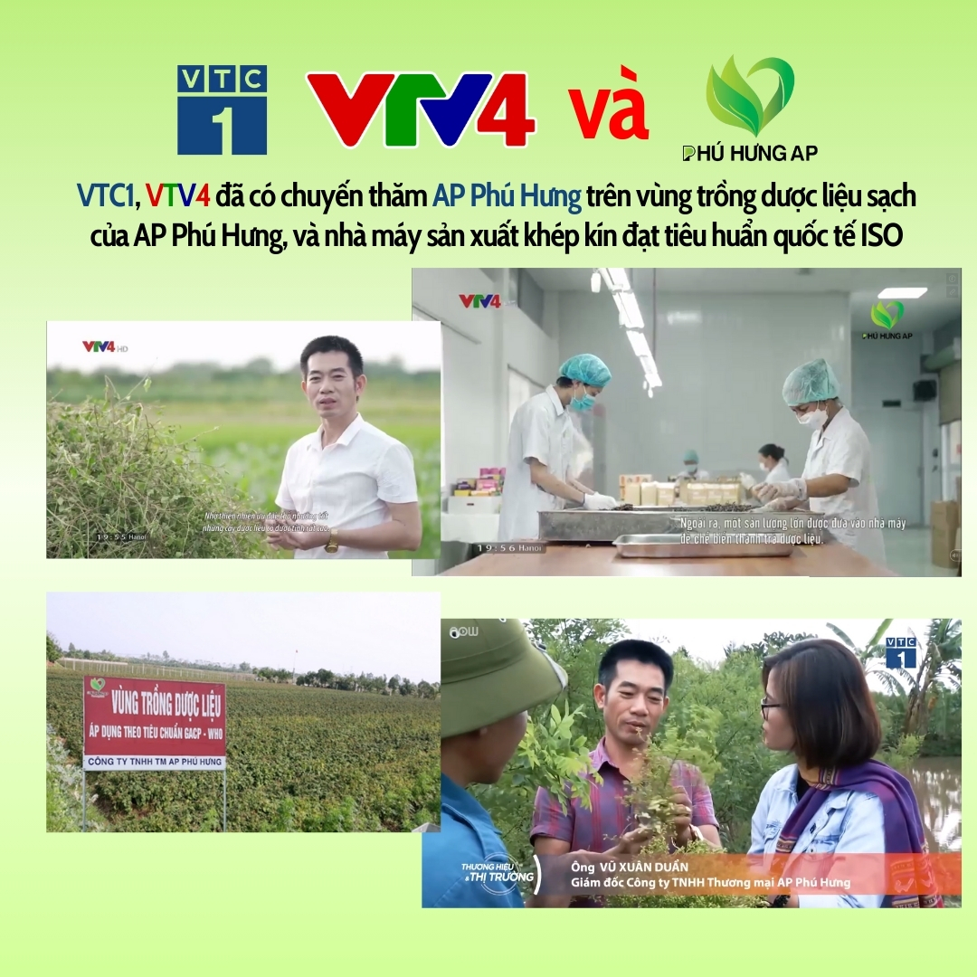 Trà Đinh Lăng Hỗ Trợ Bổ Não AP Phú Hưng