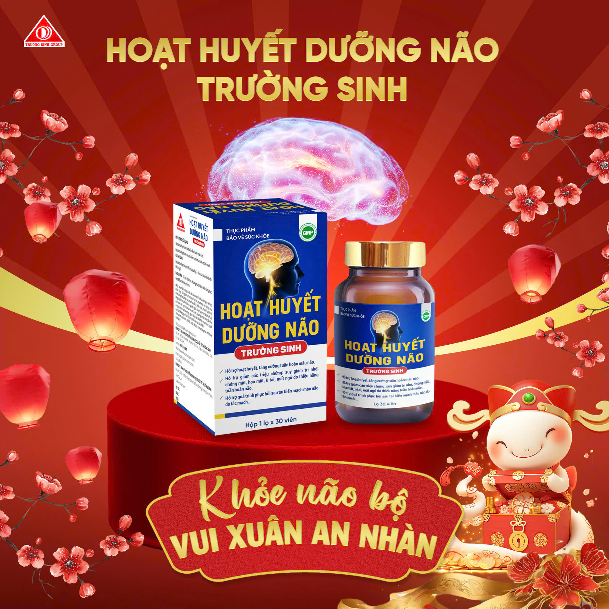 TPBVSK HOẠT HUYẾT DƯỠNG NÃO TRƯỜNG SINH HỘP 30V