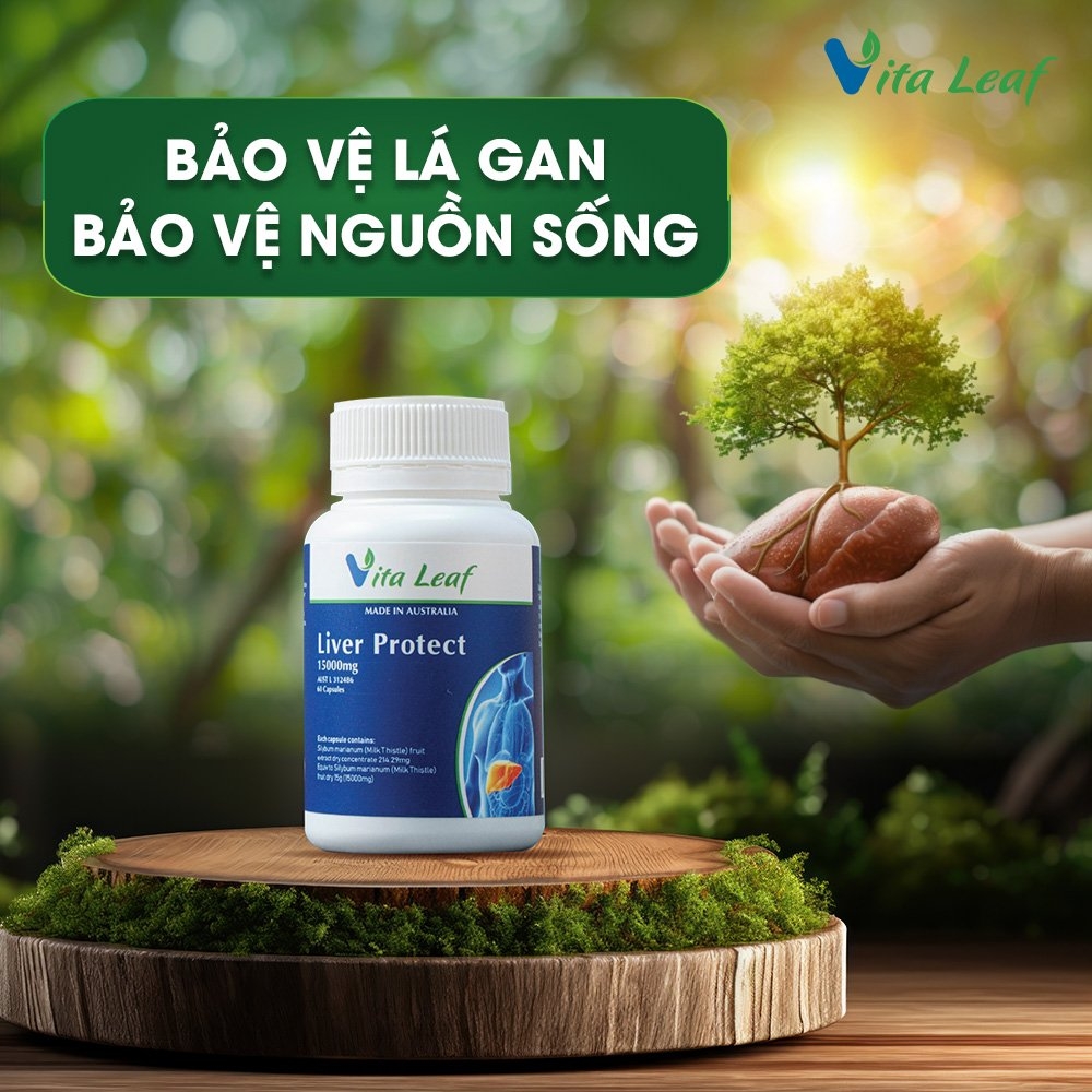 Combo liver-source of life (lá gan nguồn sống) (3 hộp)- Hỗ trợ Thải độc gan, bảo vệ và duy trì chức năng gan - 7