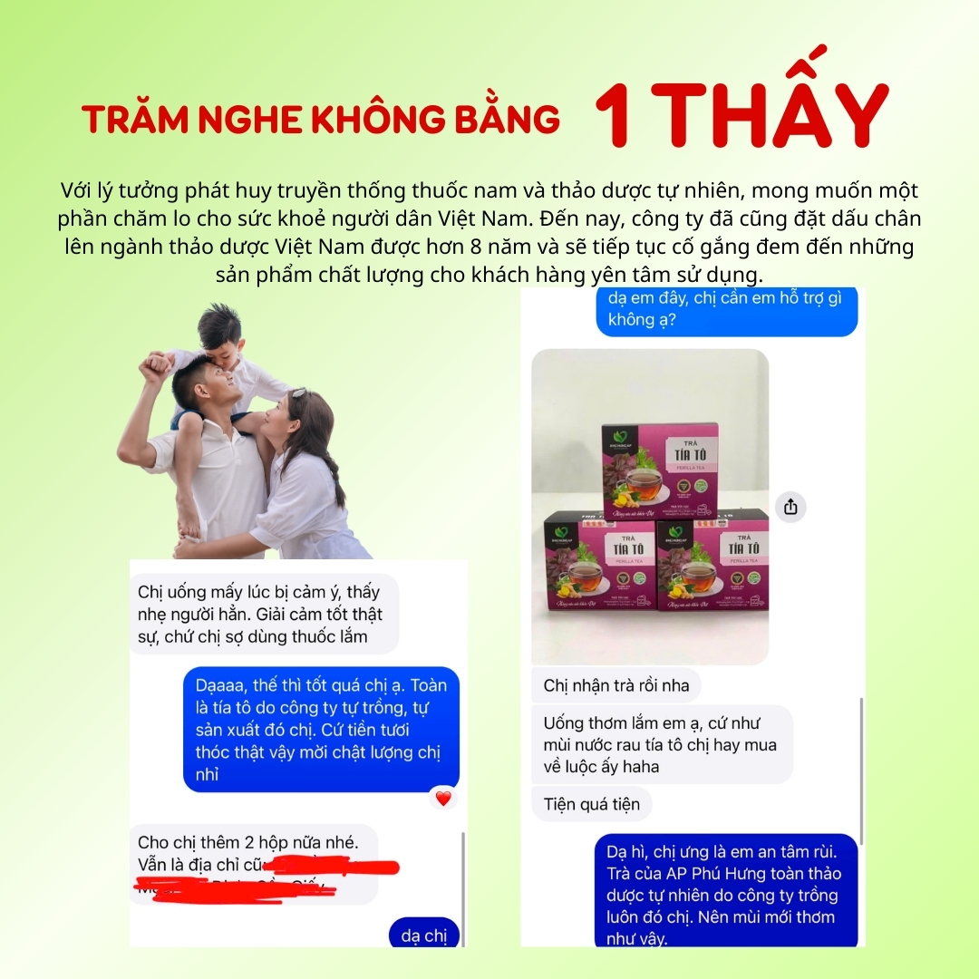 Trà Tía Tô AP PHÚ HƯNG Thảo dược 100% tự nhiên