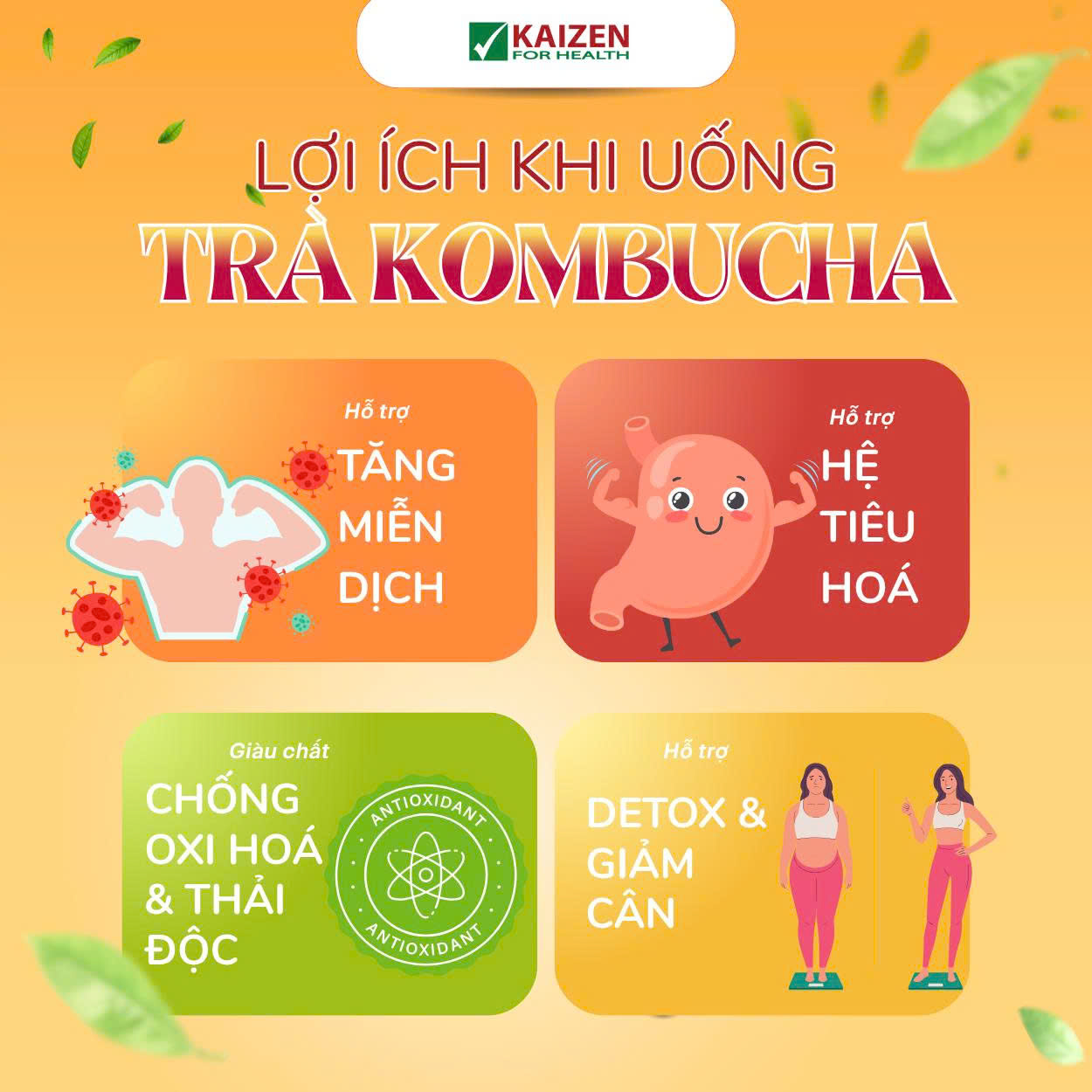 Trà Kombucha Đào ( Hộp 10 gói x 5g)