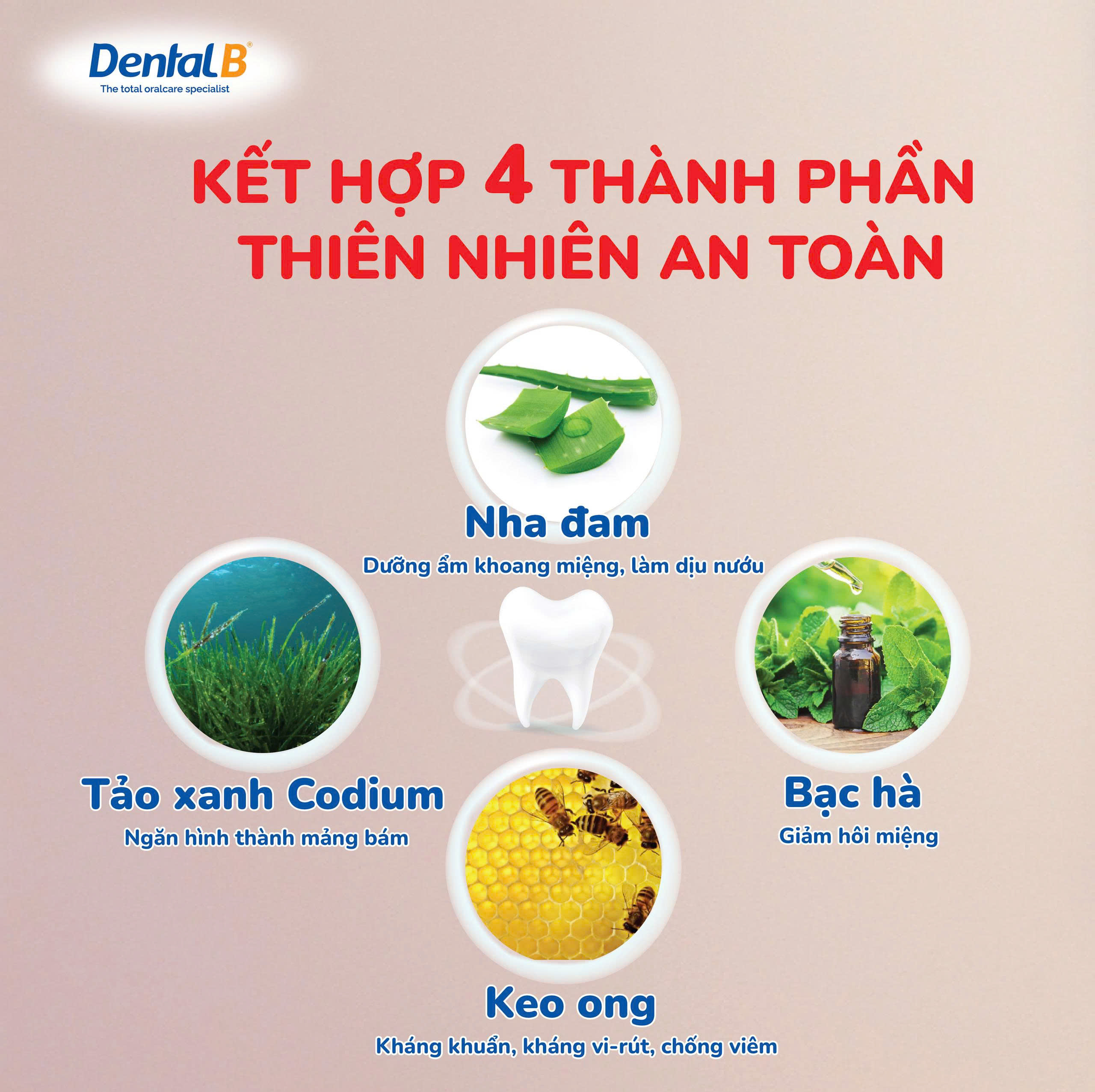 Kem đánh răng thảo dược trẻ em Dental B Thái Lan vị kẹo ngọt 50gr