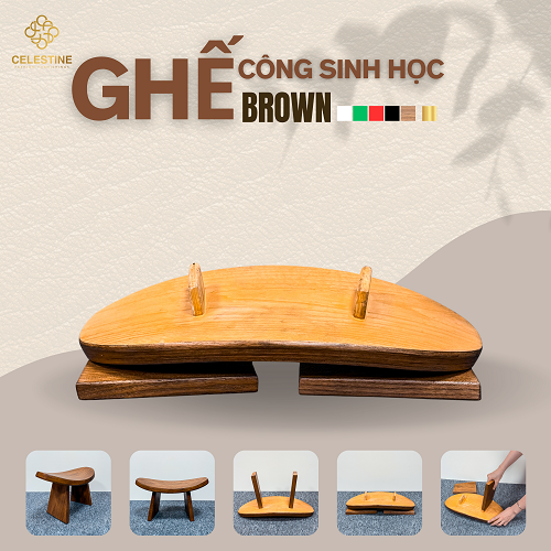 Ghế Công Sinh Học BROWN