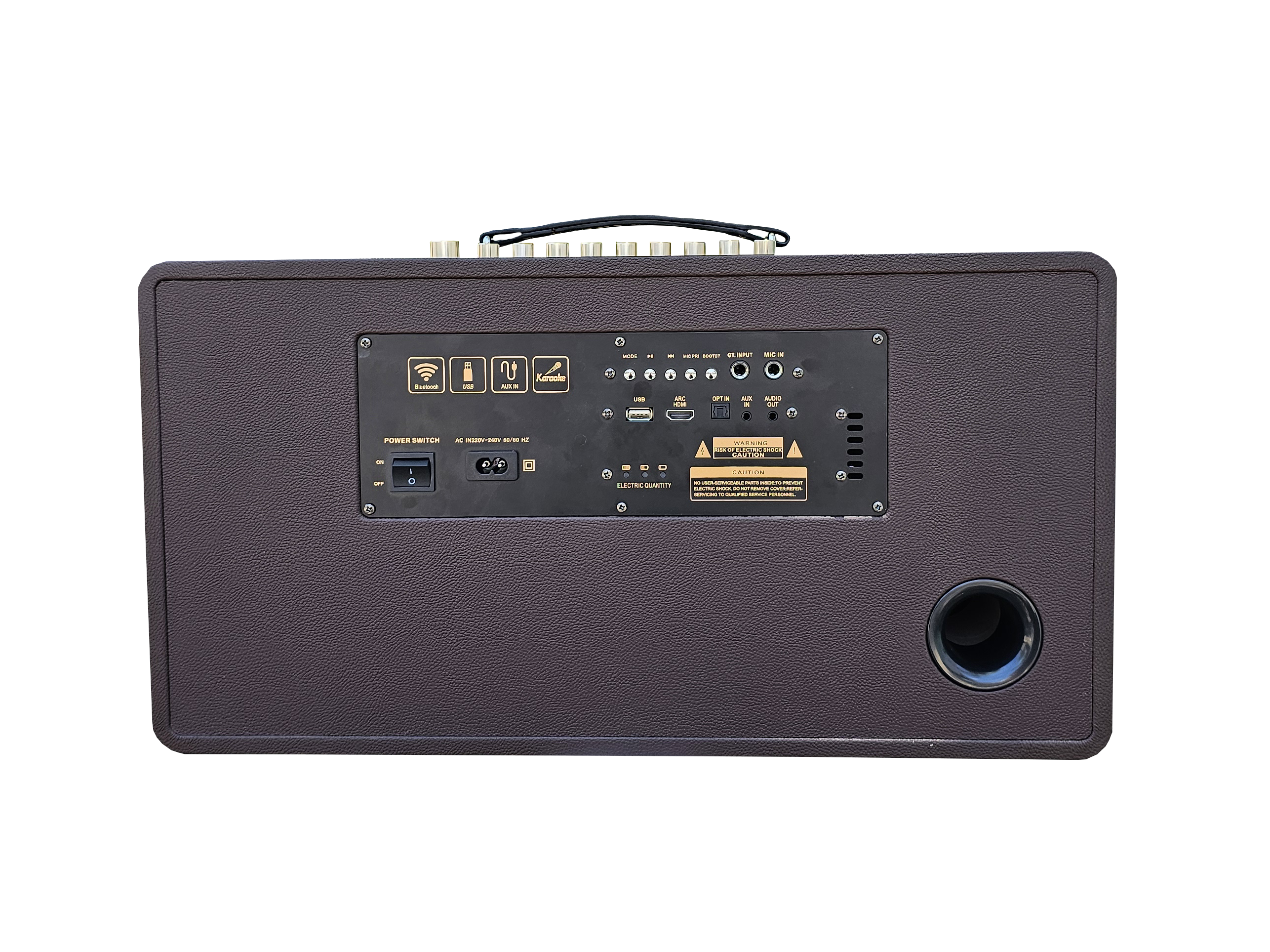 Loa Xách Tay Công Suất Lớn PS-28i