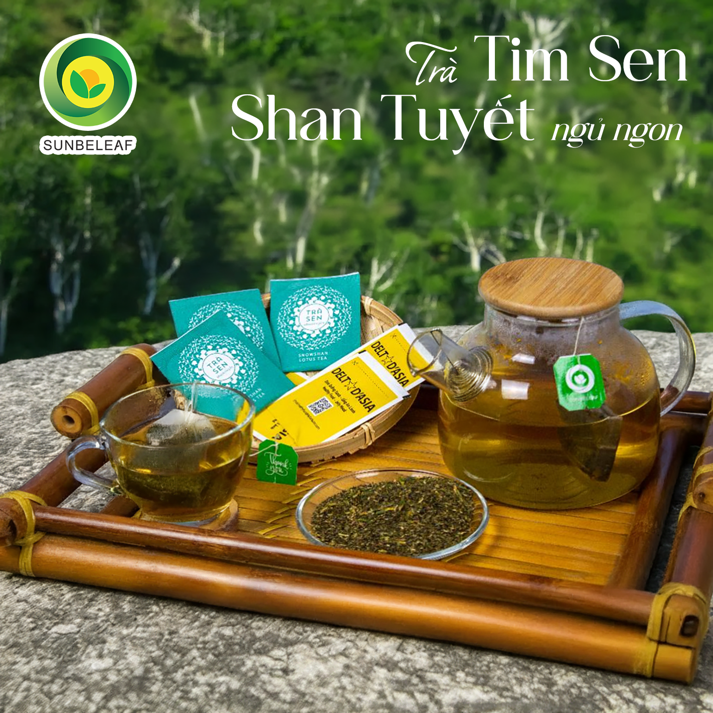 Trà Tim Sen Shan Tuyết Cổ Thụ Sunbeleaf - Thích Hợp Cho Người Chú Trọng Lối Sống Điều Độ Và Sức Khỏe Bên Trong - Hộp 20 Gói Túi Lọc