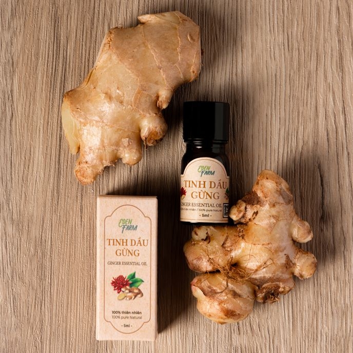 Tinh dầu gừng nguyên chất 5ml Eden Farm hỗ trợ hô hấp, thư giãn tinh thần - 4