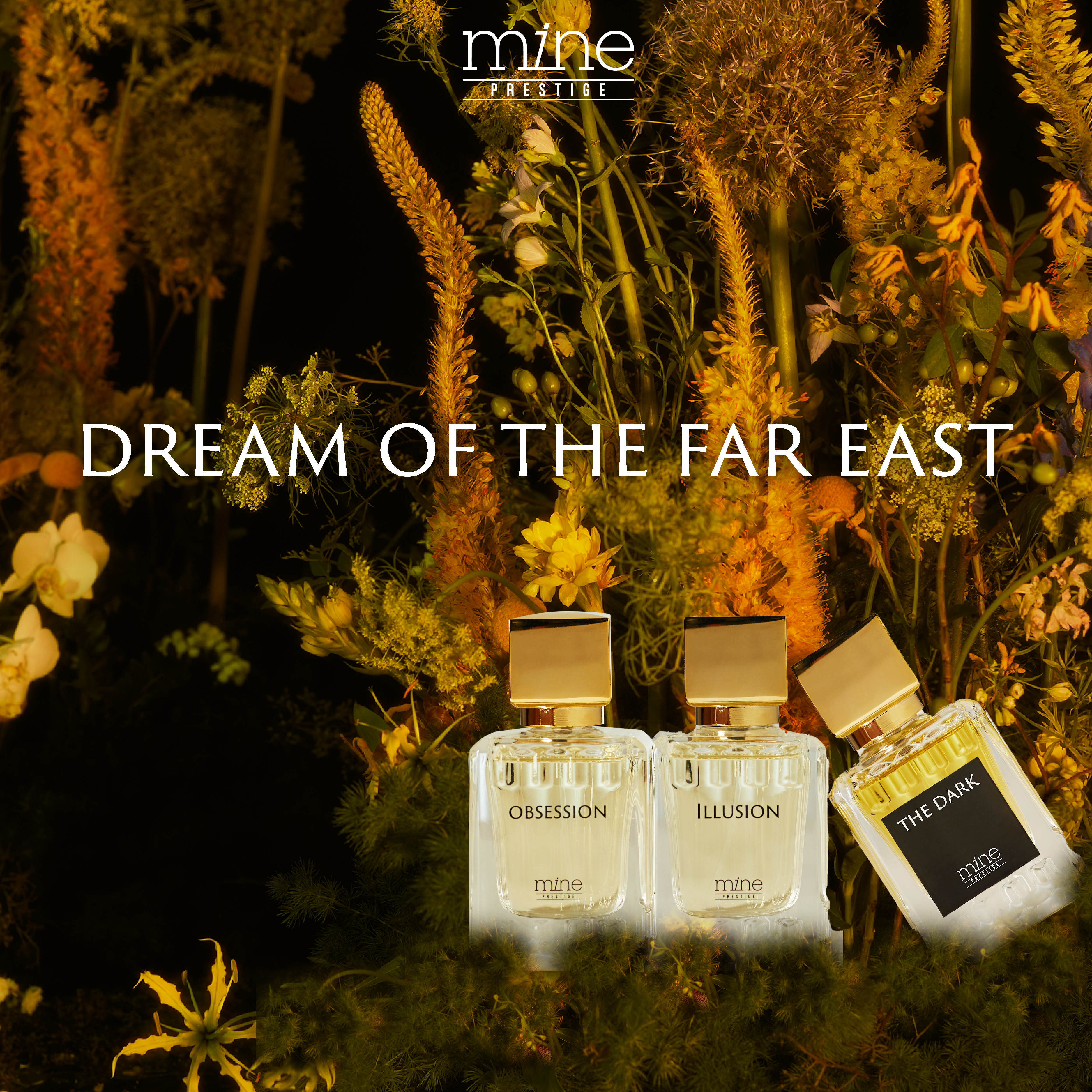 Nước hoa the dark Mine prestige 50ml-duoc-ban-tai-Siêu Thị Ánh Nguyệt