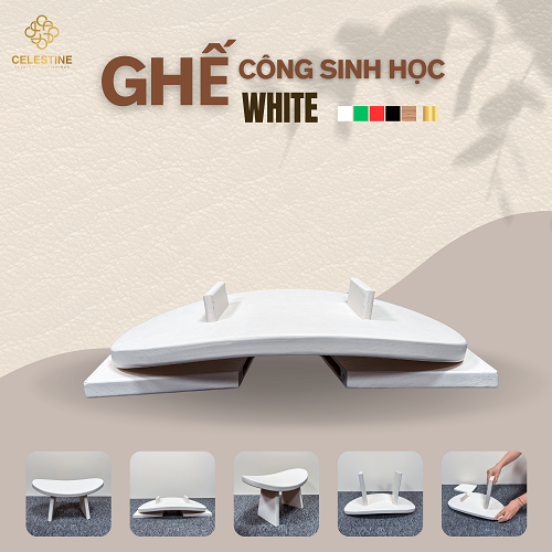 Ghế Công Sinh Học WHITE