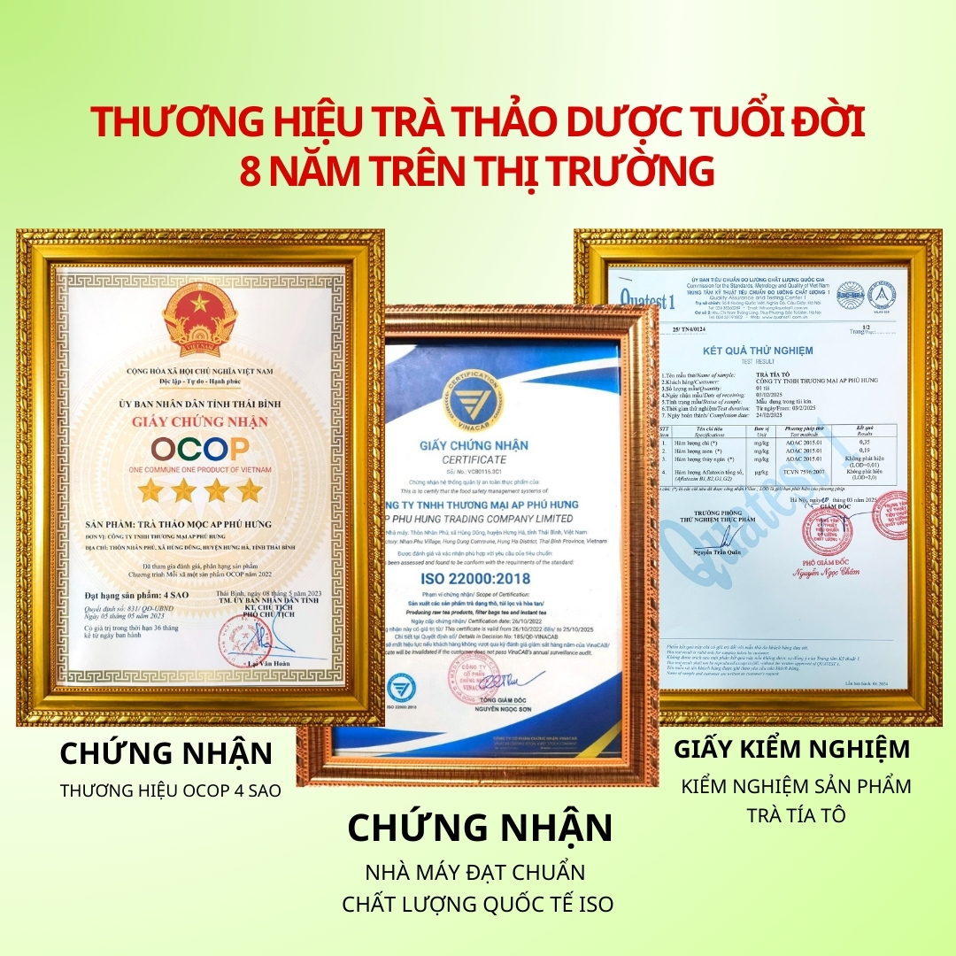 Trà Tía Tô AP PHÚ HƯNG Thảo dược 100% tự nhiên