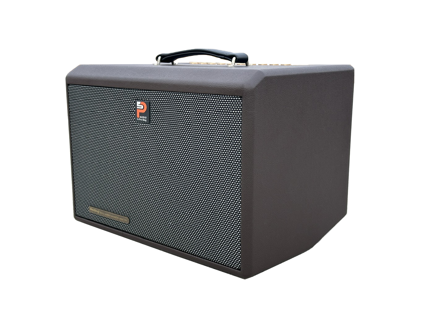 Loa Xách Tay Công Suất Lớn DSP-236Xi