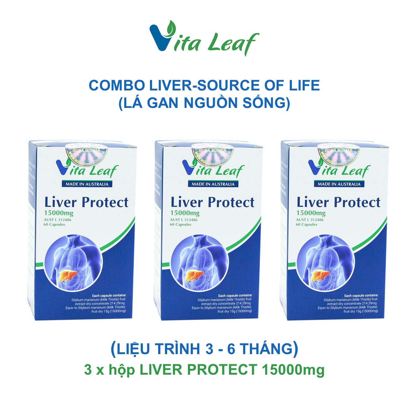 Combo liver-source of life (lá gan nguồn sống) (3 hộp)- Hỗ trợ Thải độc gan, bảo vệ và duy trì chức năng gan - Phân phối chính hãng