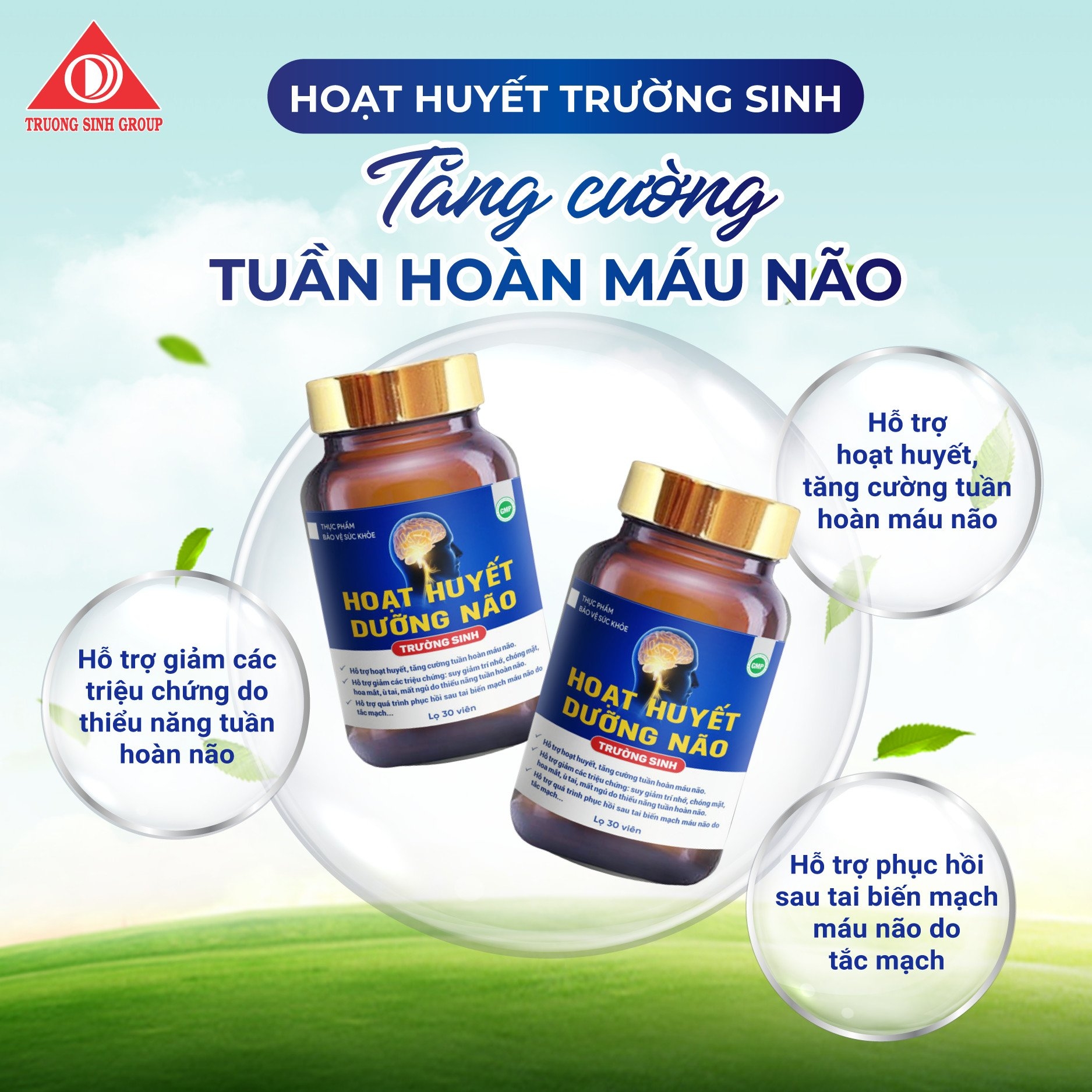 TPBVSK HOẠT HUYẾT DƯỠNG NÃO TRƯỜNG SINH HỘP 30V
