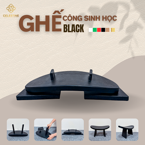 Ghế Công Sinh Học BLACK