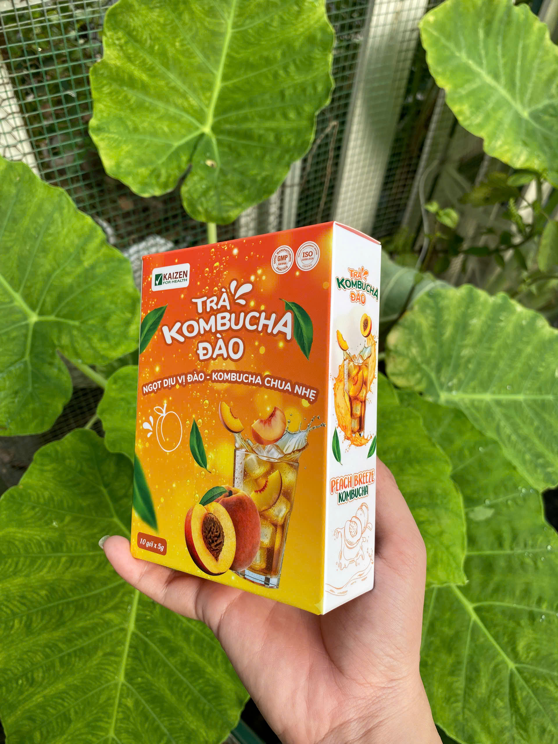 Trà Kombucha Đào ( Hộp 10 gói x 5g)