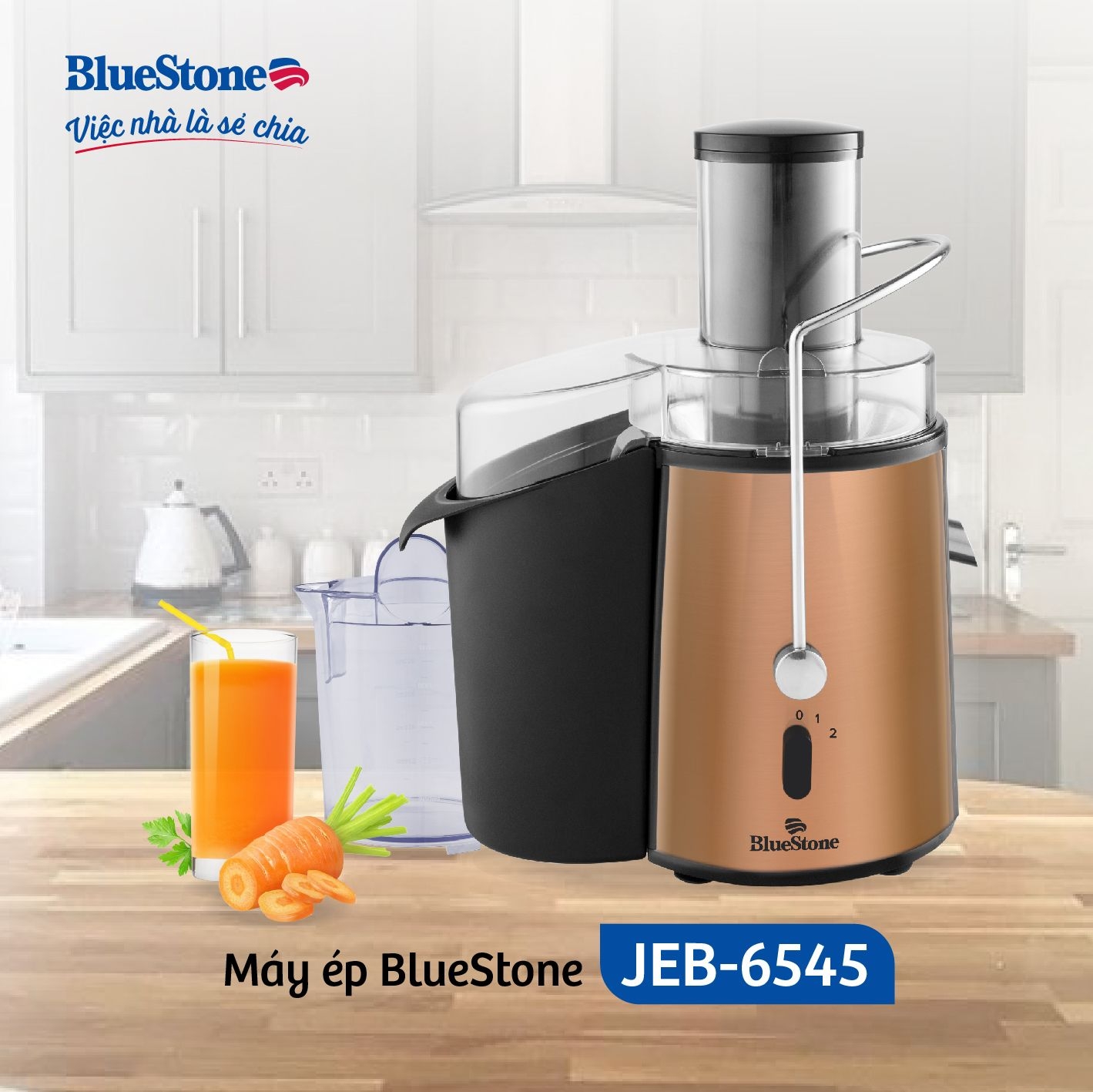 Máy Ép Nhanh BlueStone JEB-6545 850W