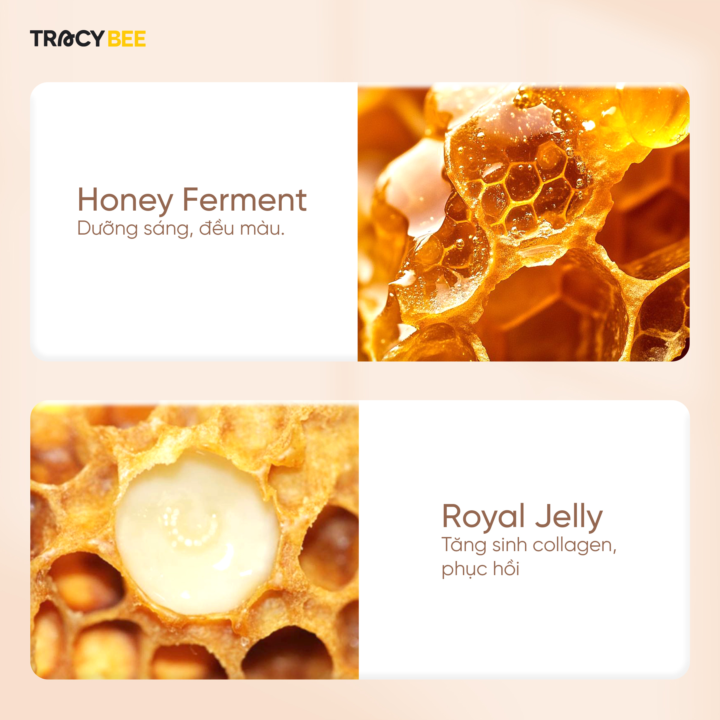 Kem chống nắng Tracybee Propolis Marathon bền bỉ ngoài trời cho mọi loại da SPF50+ PA++++(50ml)