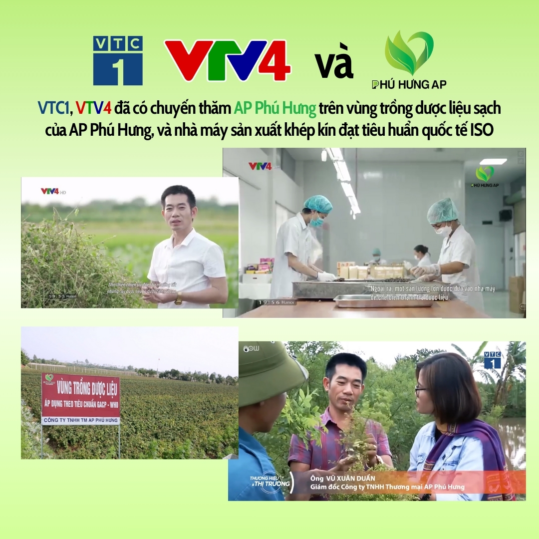 Trà Dáng Tây Thi Hỗ Trợ Giảm Mỡ AP Phú Hưng - 3