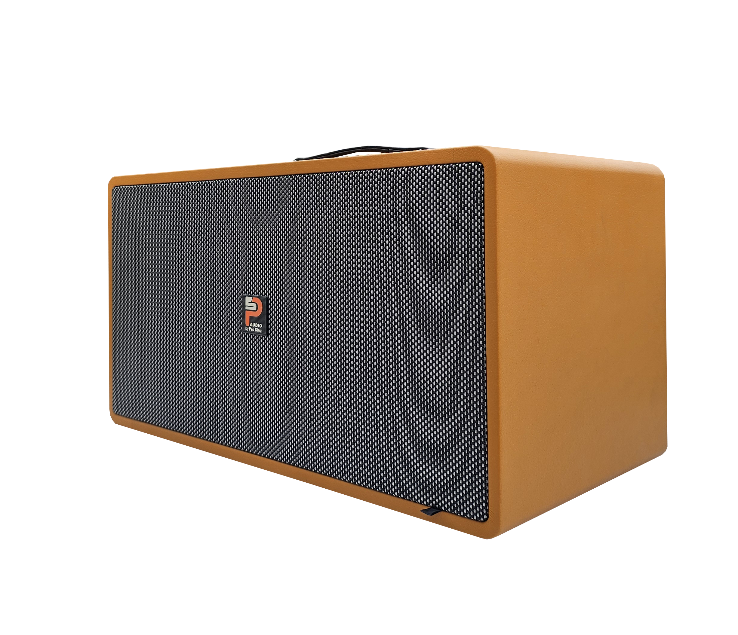 Loa Xách Tay Công Suất Lớn PS-28i