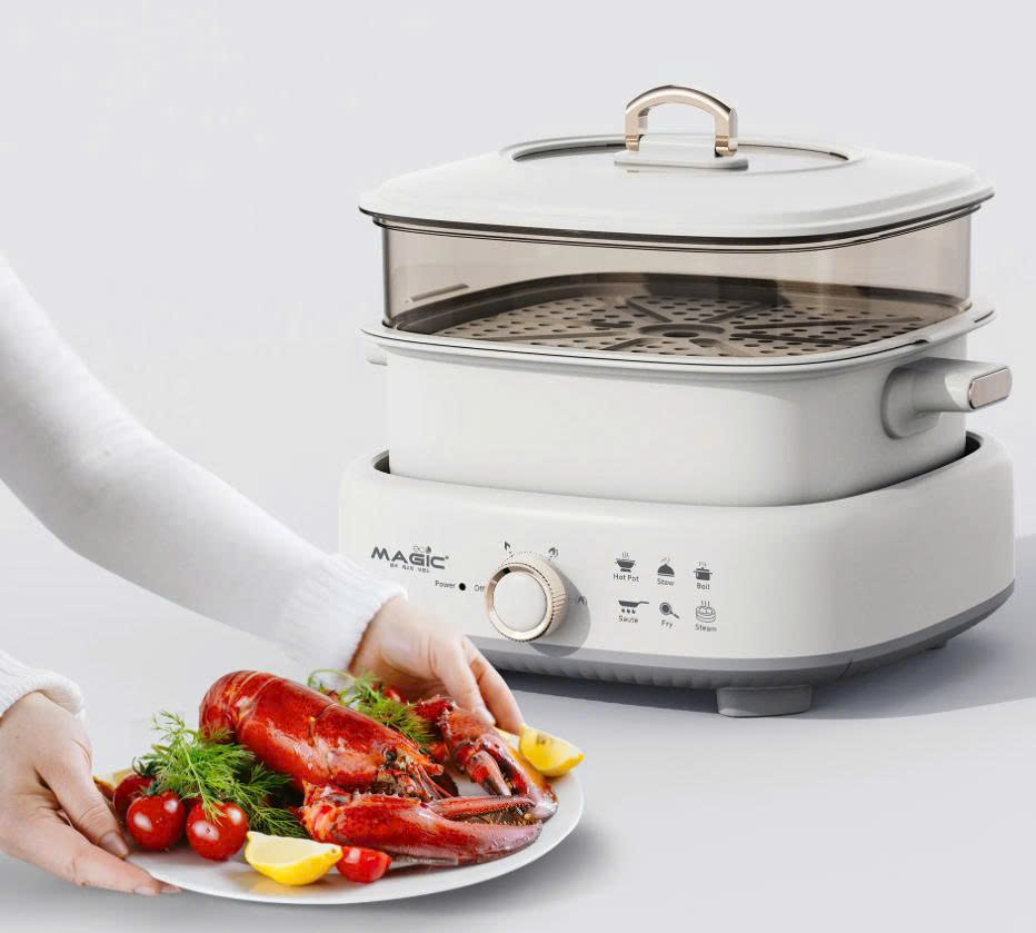 Nồi hấp lẩu 2 in 1 Magic Eco AC-281
