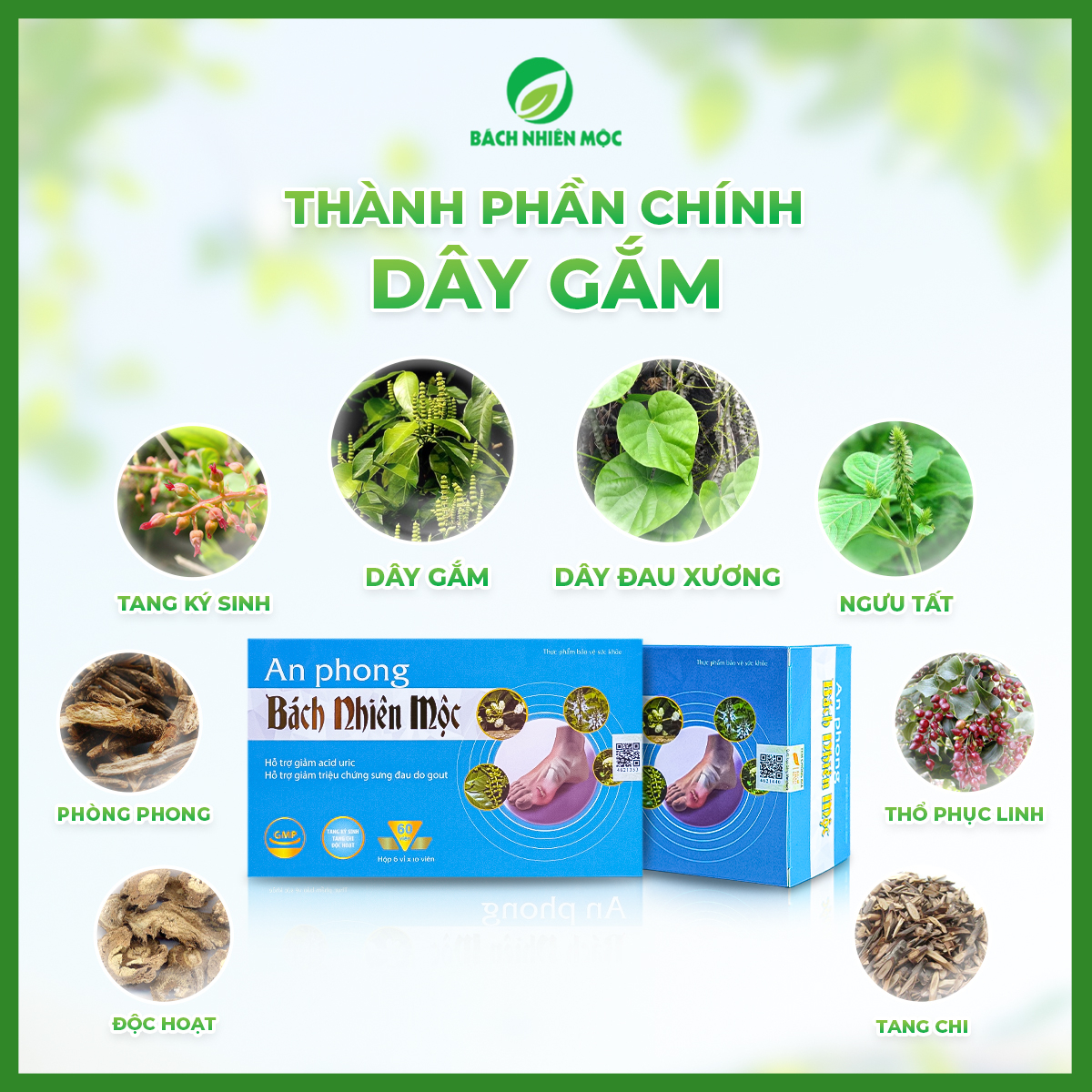 TPBVSK An Phong Bách Nhiên Mộc hỗ trợ giảm acid uric, giảm sưng đau do gout (Hộp 60 viên)