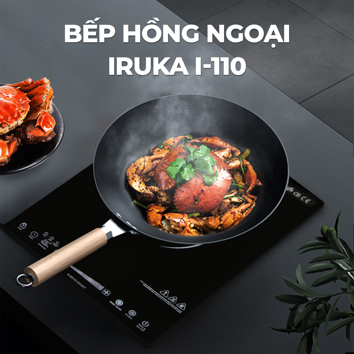 Bếp hồng ngoại Iruka I-110